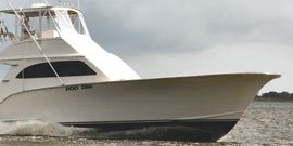 Fishing Charters and Guides