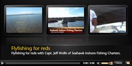 Fishing Videos
