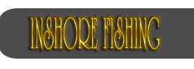 Inshore Fishing