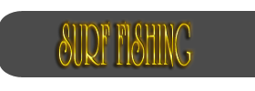 Surf Fishing
