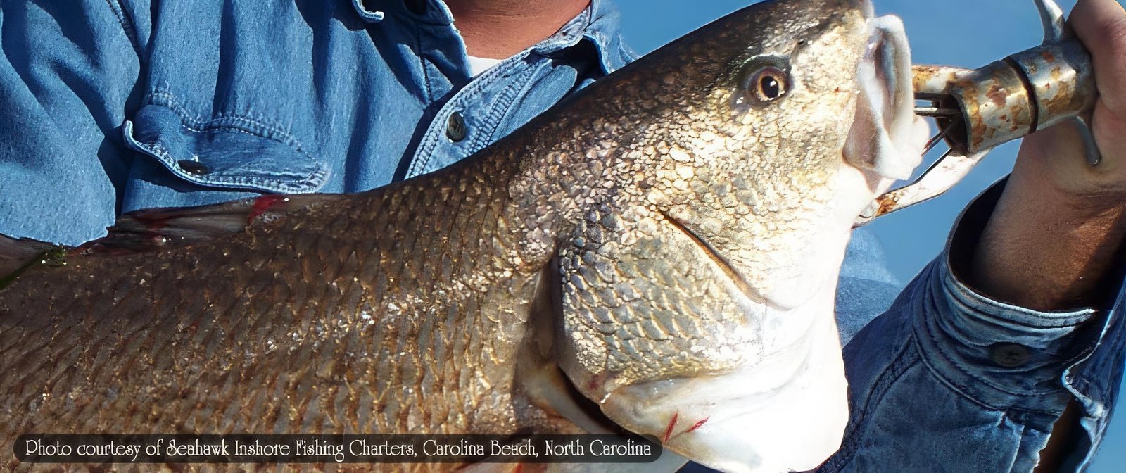 02_slide_big Big Redfish